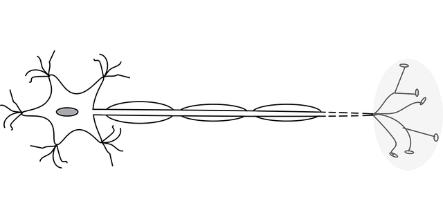 illustration of how a nerve is affected by a tens machine for sciatica