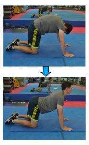 A great exercise for lower back and leg pain: cat cow