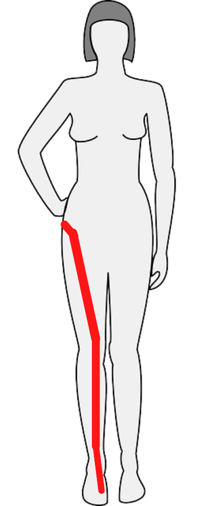 symptoms of L4 nerve damage follow the pattern shown here